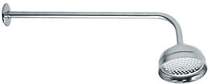 Component Traditional fixed shower head and arm in chrome