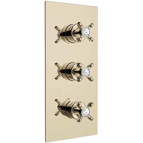 Bristan 1901 Concealed Shower Valve With Dual Controls (2 Outlet, Gold).