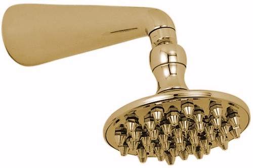 Vado Shower 4.75" 120mm Drench shower head and arm in gold.