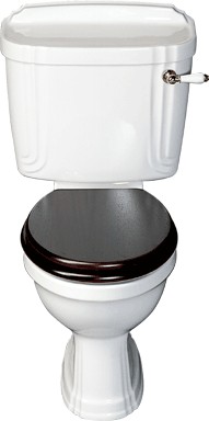 Avondale WC with cistern and fittings
