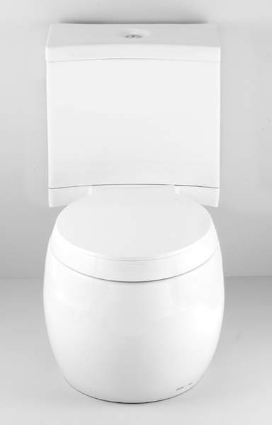 Ofuro WC Toilet with pan, push flush cistern & fittings and seat.