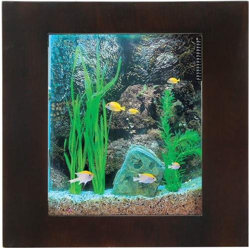 Relaxsea Compact Wall Hung Aquarium With Ash Frame. 600x600x120mm.