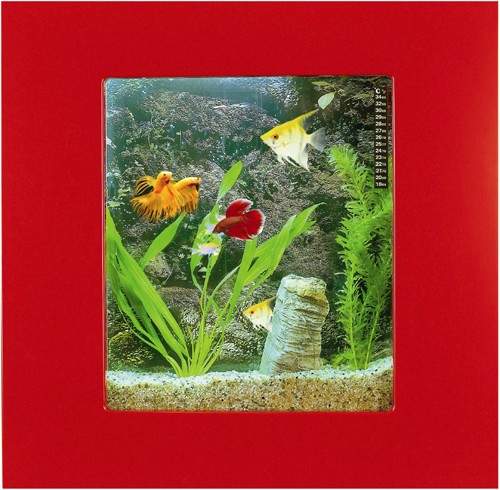 Relaxsea Compact Wall Hung Aquarium With Red Frame. 600x600x120mm.
