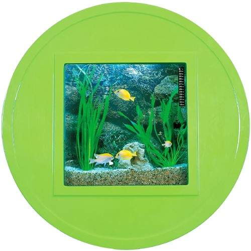 Relaxsea Halo Wall Hung Aquarium With Green Frame. 800x800x160mm.