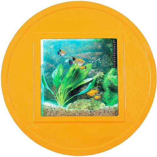 Relaxsea Halo Wall Hung Aquarium With Orange Frame. 800x800x160mm.