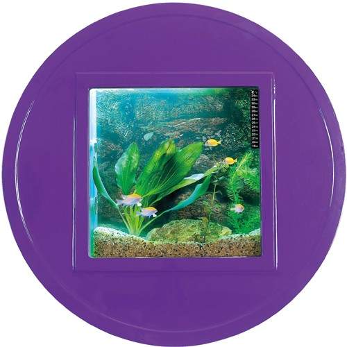 Relaxsea Halo Wall Hung Aquarium With Purple Frame. 800x800x160mm.
