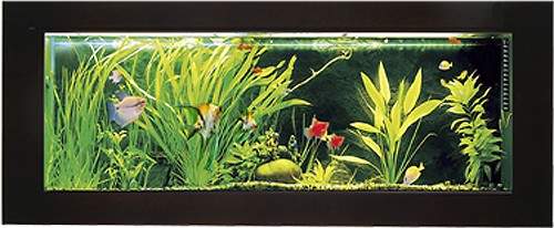 Relaxsea Ideal Wall Hung Aquarium With Ash Frame. 1500x600x120mm.