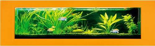 Relaxsea Ideal Wall Hung Aquarium With Orange Frame. 2000x600x160mm.