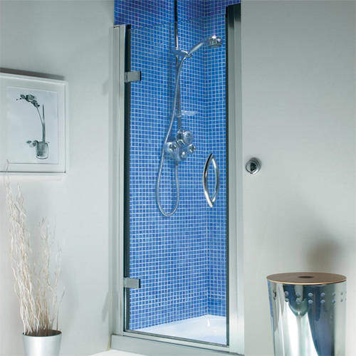 Roman Collage Hinged Shower Door With 8mm Glass (1000x1830, Silver).
