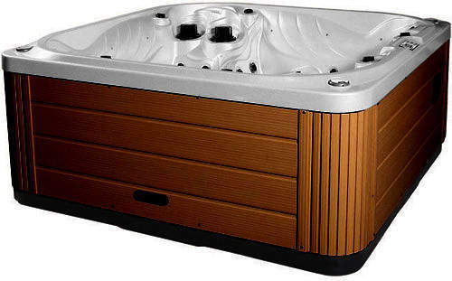 Hot Tub Silver Neptune Hot Tub (Chocolate Cabinet & Gray Cover).