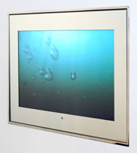 Aquavision 17" Widescreen Bathroom TV with remote control..