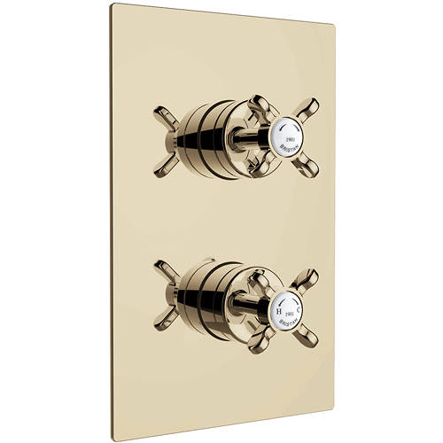 Larger image of Bristan 1901 Concealed Shower Valve With Dual Controls (2 Outlet, Gold).