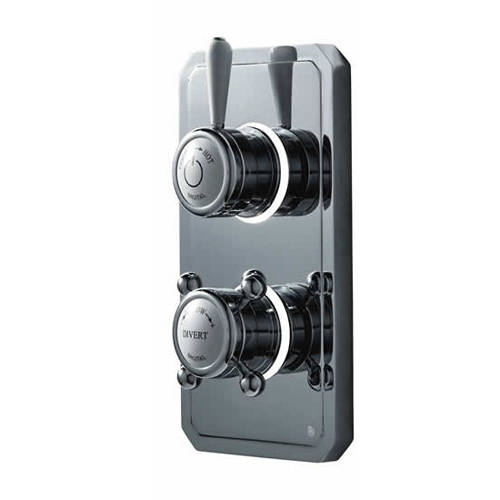 Example image of Digital Showers Shower / Shower Valve With Remote & Processor (2 Outlets, HP).