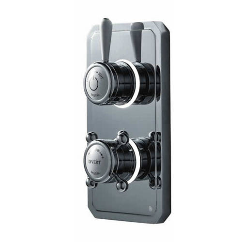 Example image of Digital Showers Shower / Shower Valve With Remote & Processor (2 Outlets, LP).
