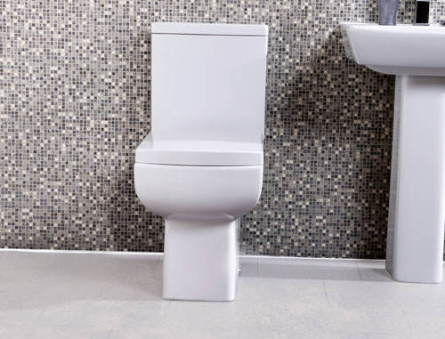 Example image of Oxford Daisy Lou Back To Wall Toilet With Cistern & Seat (WRAS approved).