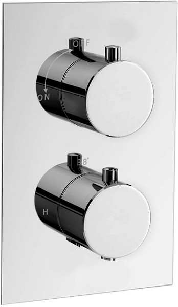 Example image of Hydra Showers Twin Thermostatic Shower Valve, Ceiling Arm & Round Head.