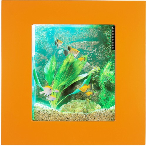 Larger image of Relaxsea Compact Wall Hung Aquarium With Orange Frame. 600x600x120mm.