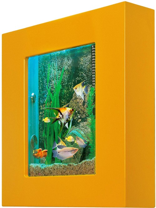 Example image of Relaxsea Compact Wall Hung Aquarium With Orange Frame. 600x600x120mm.