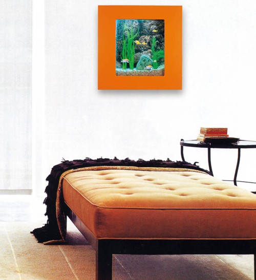 Example image of Relaxsea Compact Wall Hung Aquarium With Orange Frame. 600x600x120mm.