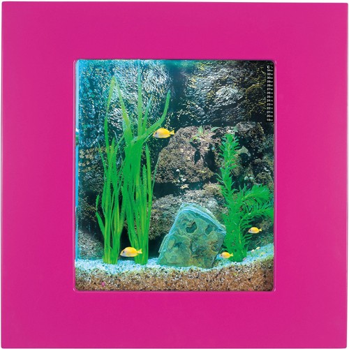 Larger image of Relaxsea Compact Wall Hung Aquarium With Pink Frame. 600x600x120mm.