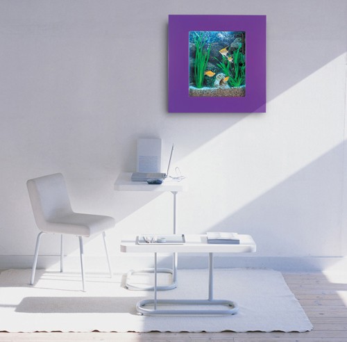 Example image of Relaxsea Compact Wall Hung Aquarium With Purple Frame. 600x600x120mm.