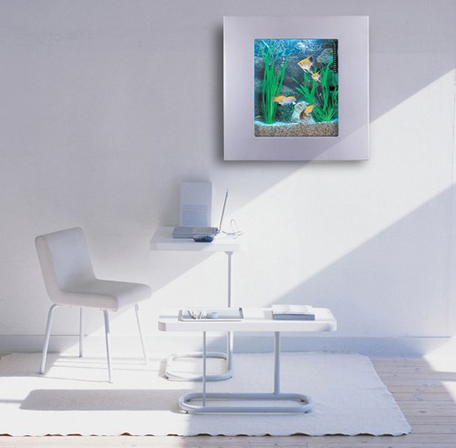 Example image of Relaxsea Compact Wall Hung Aquarium With Silver Frame. 600x600x120mm.