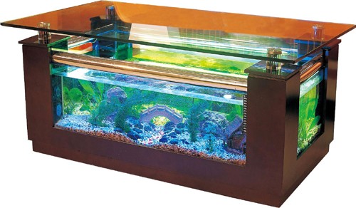 Example image of Relaxsea Combo Coffee Table Aquarium With Ash Frame. 1200x650x550mm.