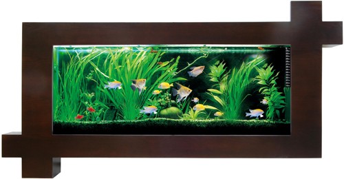 Larger image of Relaxsea Focus Wall Hung Aquarium With Ash Frame. 1500x780x160mm.