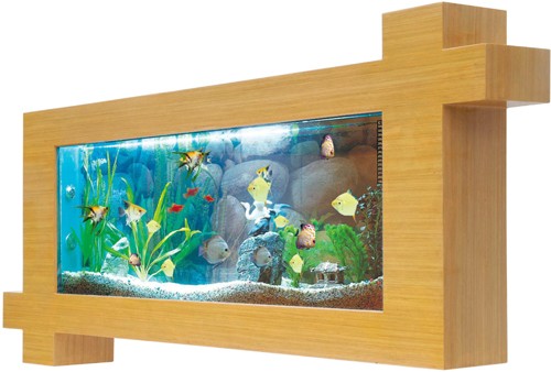 Example image of Relaxsea Focus Wall Hung Aquarium With Oak Frame. 1500x780x160mm.