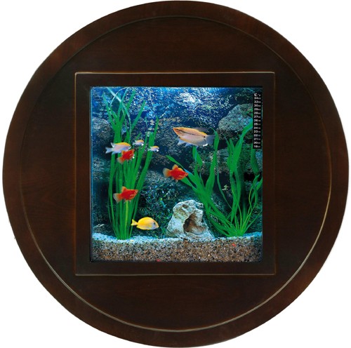 Larger image of Relaxsea Halo Wall Hung Aquarium With Ash Frame. 800x800x160mm.