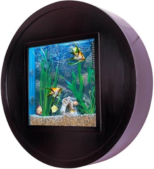 Example image of Relaxsea Halo Wall Hung Aquarium With Ash Frame. 800x800x160mm.