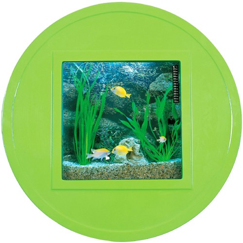 Larger image of Relaxsea Halo Wall Hung Aquarium With Green Frame. 800x800x160mm.