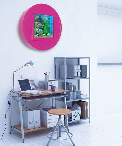 Example image of Relaxsea Halo Wall Hung Aquarium With Pink Frame. 800x800x160mm.
