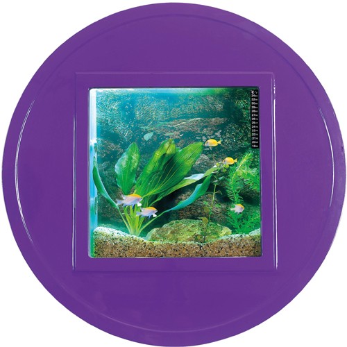 Larger image of Relaxsea Halo Wall Hung Aquarium With Purple Frame. 800x800x160mm.