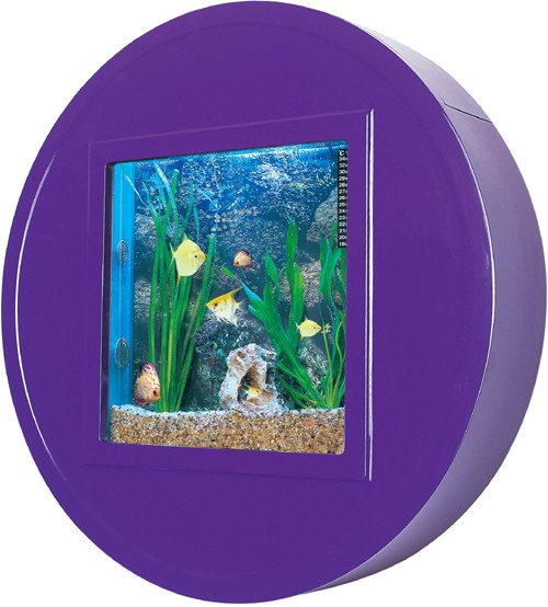 Example image of Relaxsea Halo Wall Hung Aquarium With Purple Frame. 800x800x160mm.