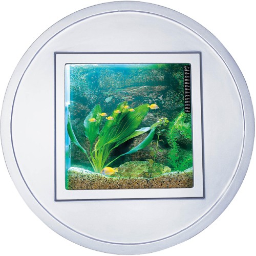 Larger image of Relaxsea Halo Wall Hung Aquarium With Silver Frame. 800x800x160mm.