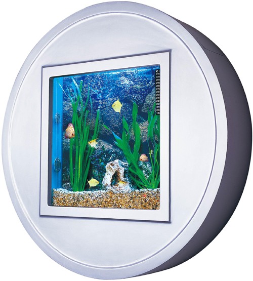Example image of Relaxsea Halo Wall Hung Aquarium With Silver Frame. 800x800x160mm.
