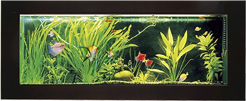 Larger image of Relaxsea Ideal Wall Hung Aquarium With Ash Frame. 1500x600x120mm.