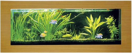 Larger image of Relaxsea Ideal Wall Hung Aquarium With Oak Frame. 800x450x120mm.