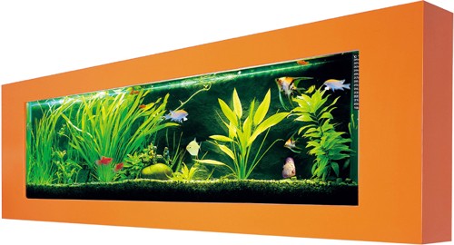 Example image of Relaxsea Ideal Wall Hung Aquarium With Orange Frame. 800x450x120mm.