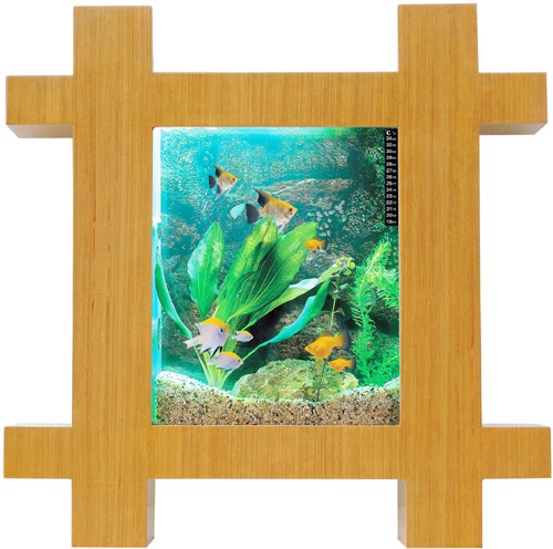 Larger image of Relaxsea Vogue Wall Hung Aquarium With Oak Frame. 800x800x120mm.