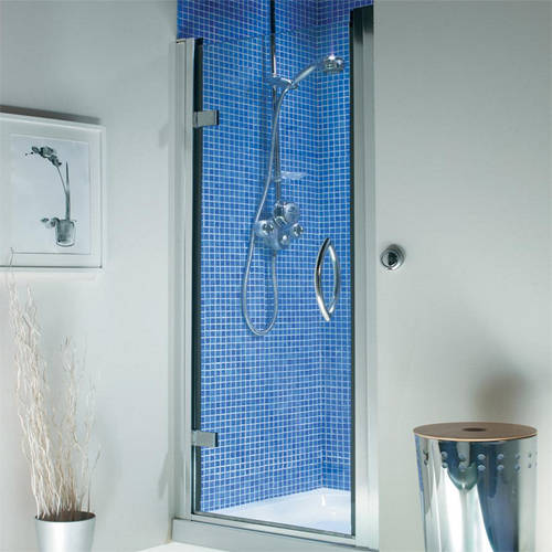Larger image of Roman Collage Hinged Shower Door With 8mm Glass (1000x1830, Silver).