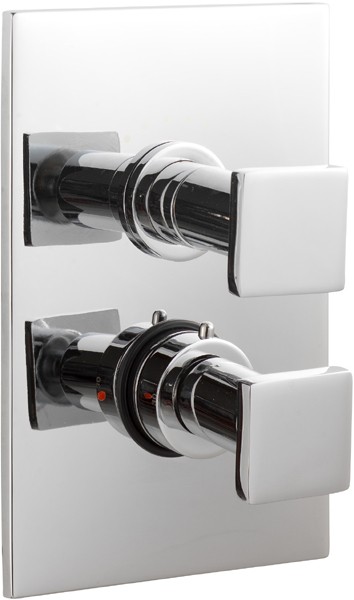 Larger image of Ultra Milo 3/4" Twin Concealed Thermostatic Shower Valve.