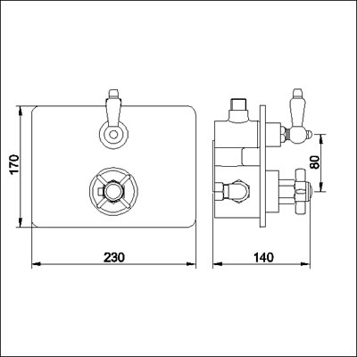 Technical image of Nuie Beaumont 3/4" Twin Thermostatic Shower Valve (Gold)