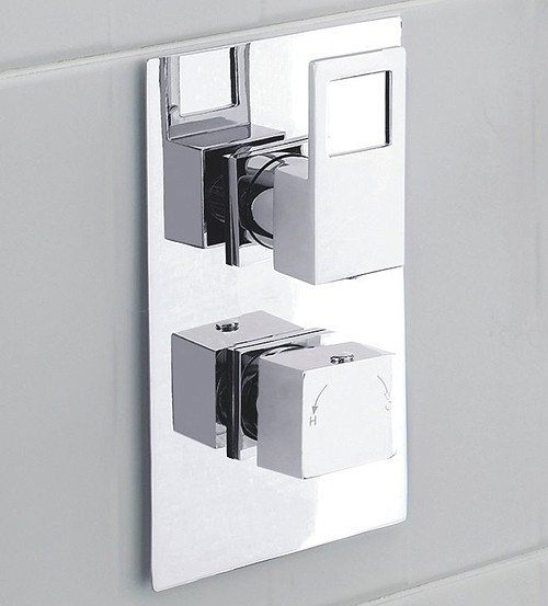 Example image of Hudson Reed Logo Twin Concealed Thermostatic Shower Valve (Chrome).