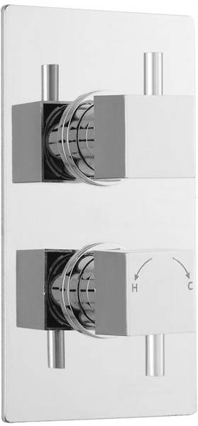 Larger image of Pioneer Twin Concealed Thermostatic Shower Valve With Diverter (Polymer).