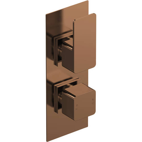 nuie Windon Brushed Brass Twin Thermostatic Valve - Brass - Size 2 - Image 3