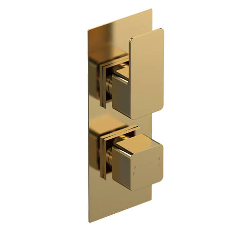 Nuie Brushed Brass Windon Twin Concealed Thermostatic Shower Valve With Diverter | | 80Mm X 217Mm X 136Mm - Image 3
